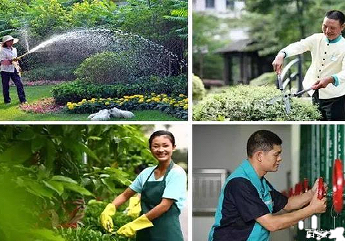色多多污污APP下载物業管理